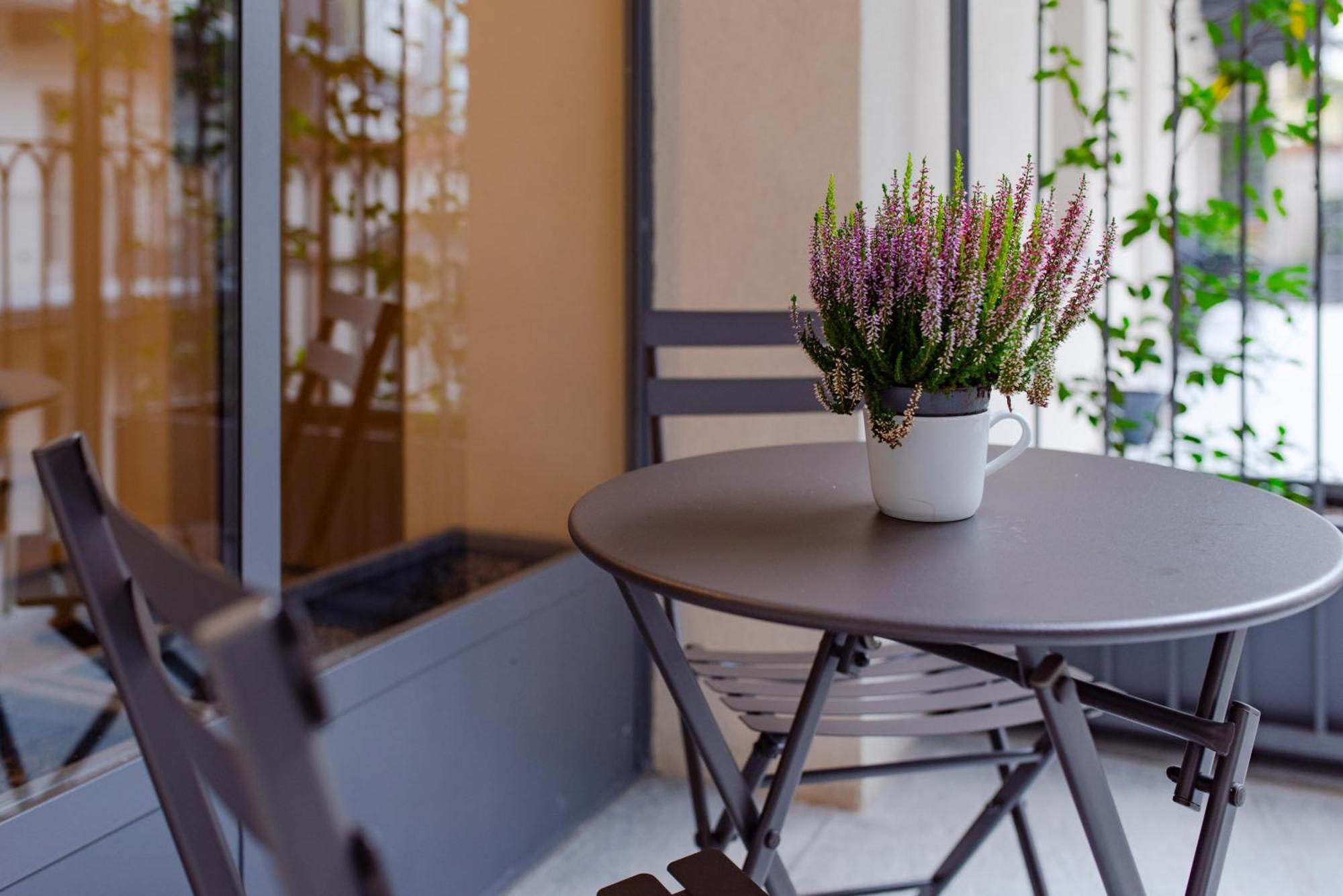 Bonbon, Terrazzino, Palestra